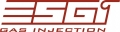ESGI